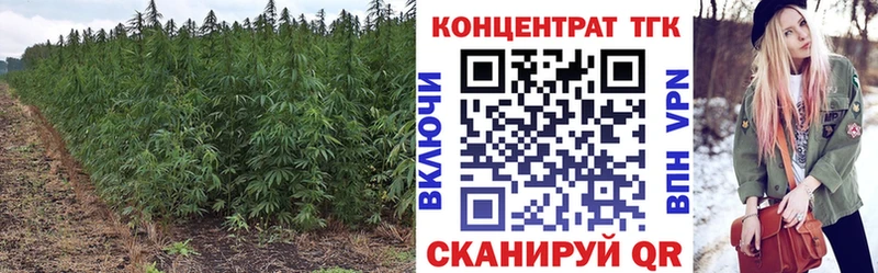 OMG как зайти  даркнет формула  ТГК гашишное масло  Томск 
