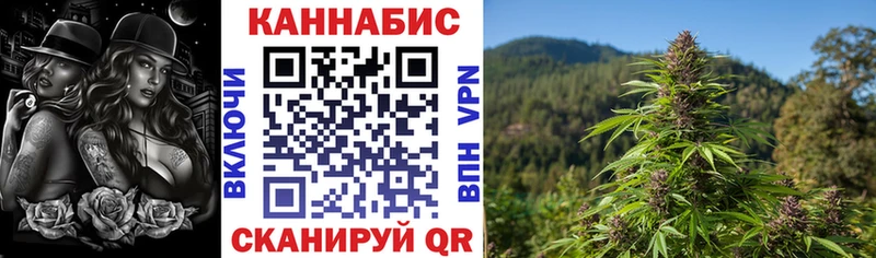 Бошки Шишки Amnesia  Томск 